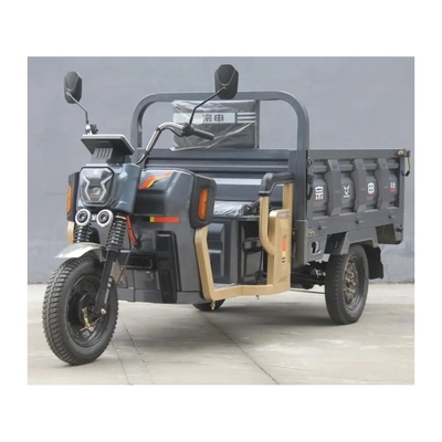 1000W Motor Driewielers Cargo Elektrische driewieler voor volwassenen 1 Passagier Open carrossery type