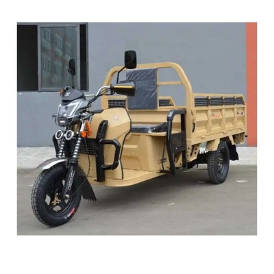 Driewielers Motorfietsen vrachtwagens E driewielers / zware elektrische trikes