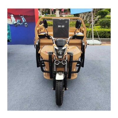 3 Wheel India Volwassen Truck Cargo Tricycle Heavy Duty For Cargo Grade Capacity ≥ 25°