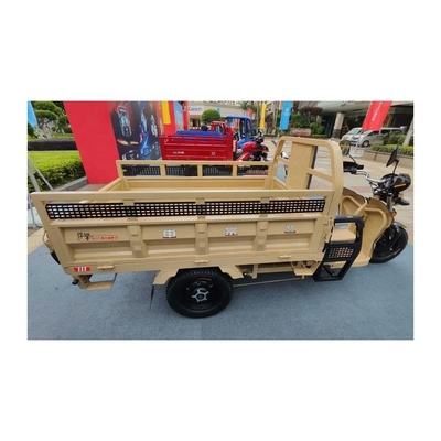3 Wheel India Volwassen Truck Cargo Tricycle Heavy Duty For Cargo Grade Capacity ≥ 25°