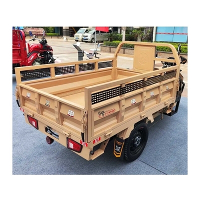 3 Wheel India Volwassen Truck Cargo Tricycle Heavy Duty For Cargo Grade Capacity ≥ 25°