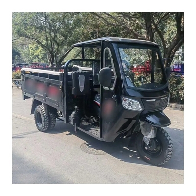 Maximale snelheid 50-70Km/h Automatische benzine aangedreven 3 wielen trike motorfiets voor volwassenen