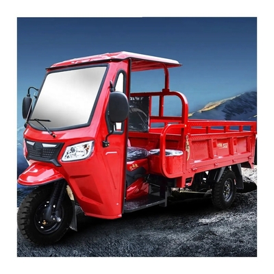 Voortrommel Achtertrommelrem System 3 Wheel Motorized Tricycle Cargo Motorcycle te koop