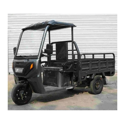 USA 3 Wheel Dump Truck Cargo Tricycle Cargo Bike met dak en 1000W vermogen