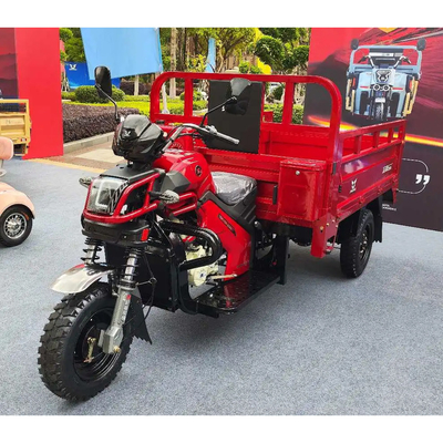 1 Passagier Motorized Cargo Tricycle Perfect voor het vervoer van vracht en passagiers