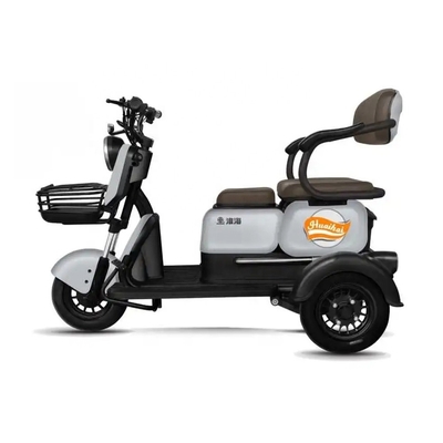 Passagiers 2 3-wiel E-scooter Motor E-bike voor volwassenen Tuk Tuk Mobiliteit E-scooter