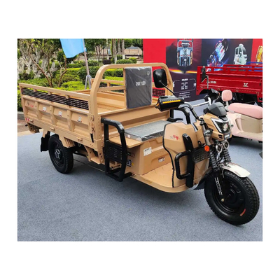 3 wielen elektrische Etrike met voordrommel Achterdrommelremmen en 70-90 km rijlengte