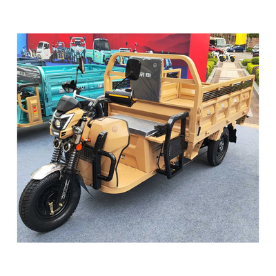 3 wielen elektrische Etrike met voordrommel Achterdrommelremmen en 70-90 km rijlengte