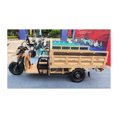 3 wielen elektrische Etrike met voordrommel Achterdrommelremmen en 70-90 km rijlengte